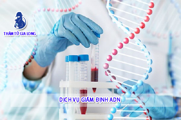 DỊCH VỤ GIÁM ĐỊNH ADN 